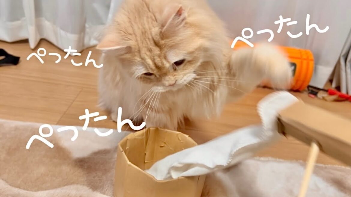 【2024年もよろしくお願いします！】猫とお餅つき&おみくじ。
