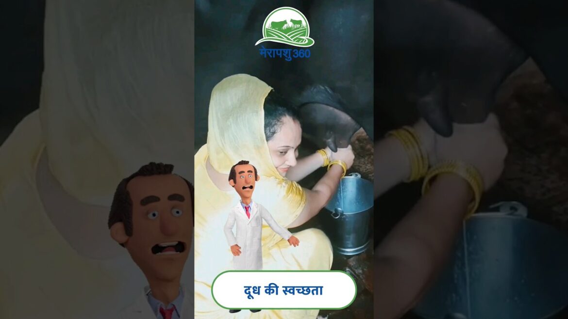 कैसे करें स्वच्छ दूध का उत्पादन, जानने के लिए देखें पूरी #video #Somvaarsamachar #DairybenefitTips कैसे करें स्वच्छ दूध का उत्पादन, जानने के लिए देखें पूरी #video #Somvaarsamachar #DairybenefitTips