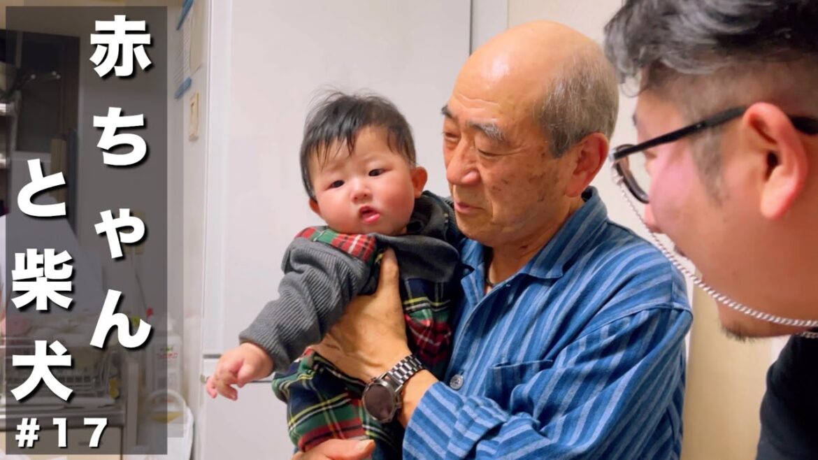 人見知り時期の赤ちゃん＆じぃじ大好き柴犬達とお正月の実家帰省