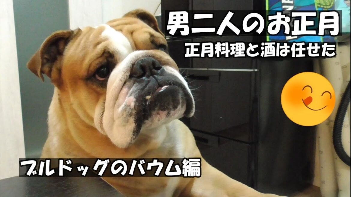 仰天！超簡単に正月料理ができあがった。かわいい犬と旅行も行かずに男ふたりで酒を飲んだよ。ブルドッグのバウムより（笑）
