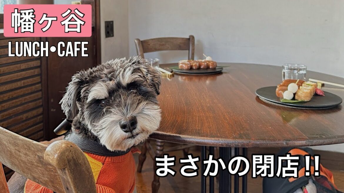 【幡ヶ谷】和カフェからの人気カフェ行ったらまさかの閉店しちゃうんだって!! 【幡ヶ谷】和カフェからの人気カフェ行ったらまさかの閉店しちゃうんだって!!