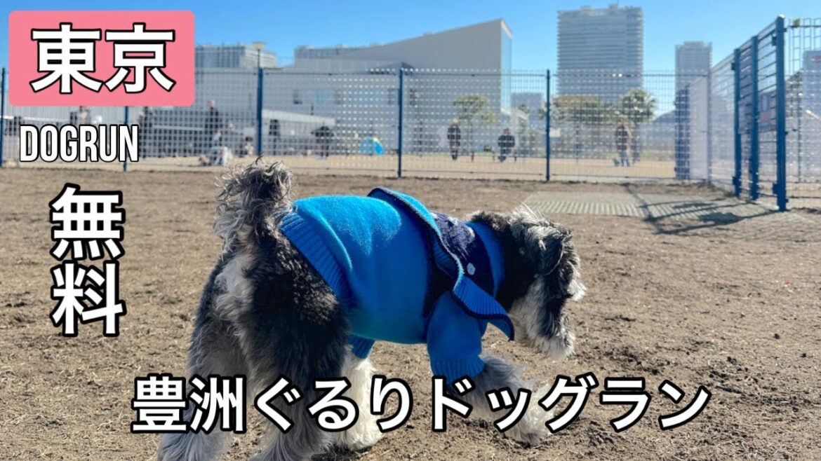 【東京】豊洲ぐるりパーク にある無料ドッグラン行ってみた‼︎