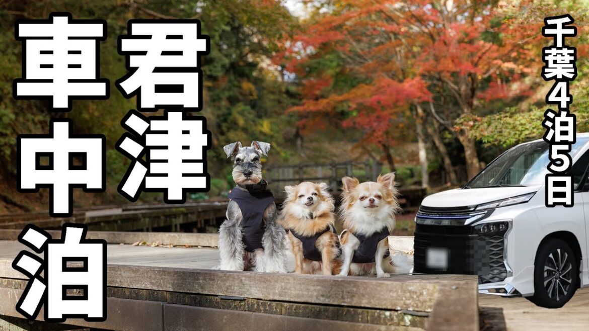 千葉の道の駅に全部行ってみた！#3/道の駅たけゆらの里・おおたき・ふれあいパークきみつ【全29駅制覇の旅】