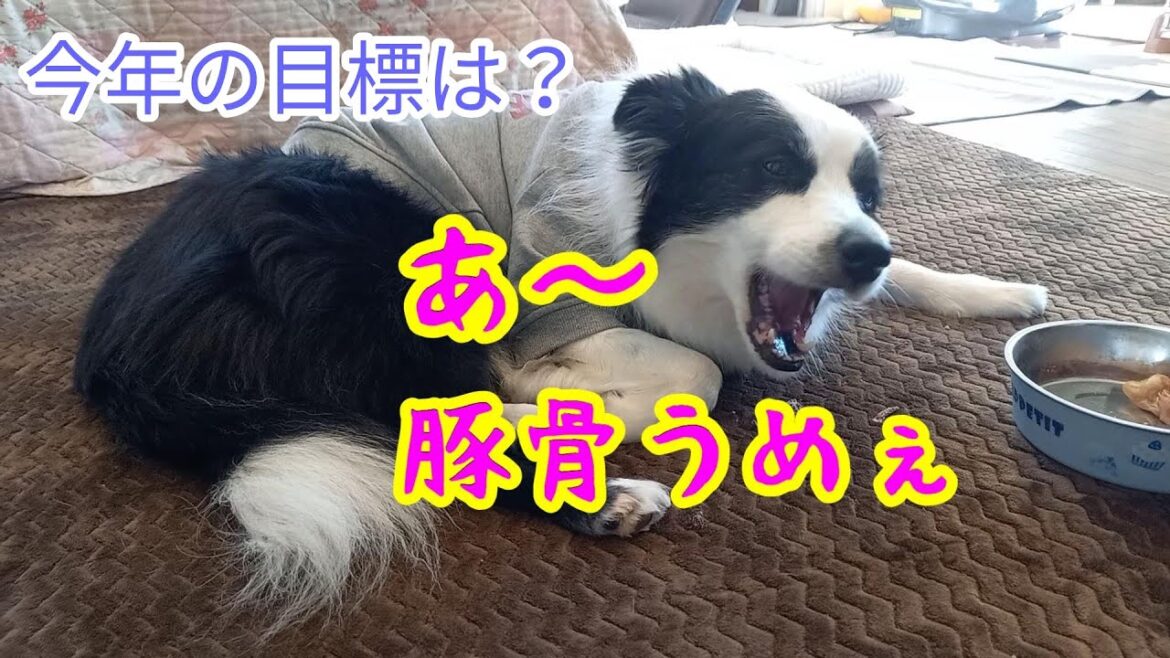 ロコの目標