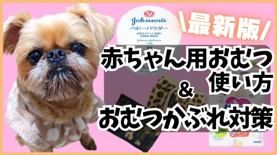 【犬のおむつ】人間用おむつで節約！！おむつかぶれになった時の対策も♪〜マーキングしちゃう子にオススメ〜