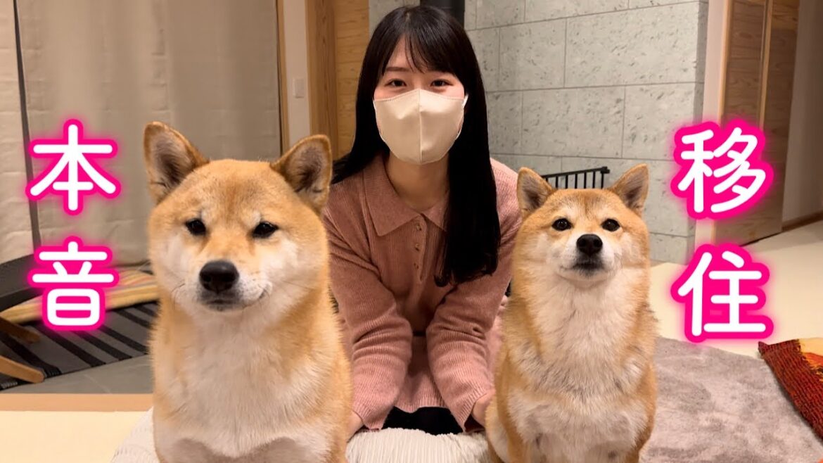 軽井沢に移住してわかった良いこと悪いこと本音で話します