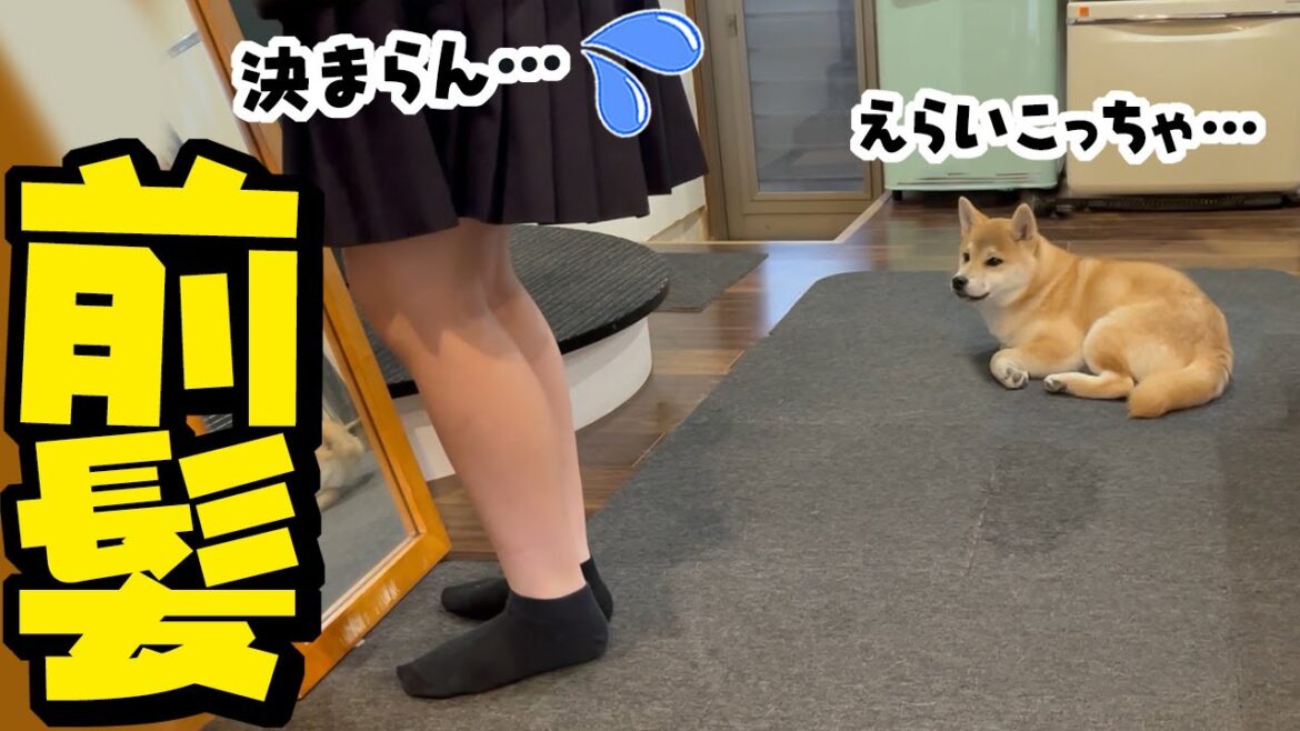 前髪が決まらない娘と珍しそうに眺める子犬の朝はこちらです… 前髪が決まらない娘と珍しそうに眺める子犬の朝はこちらです…