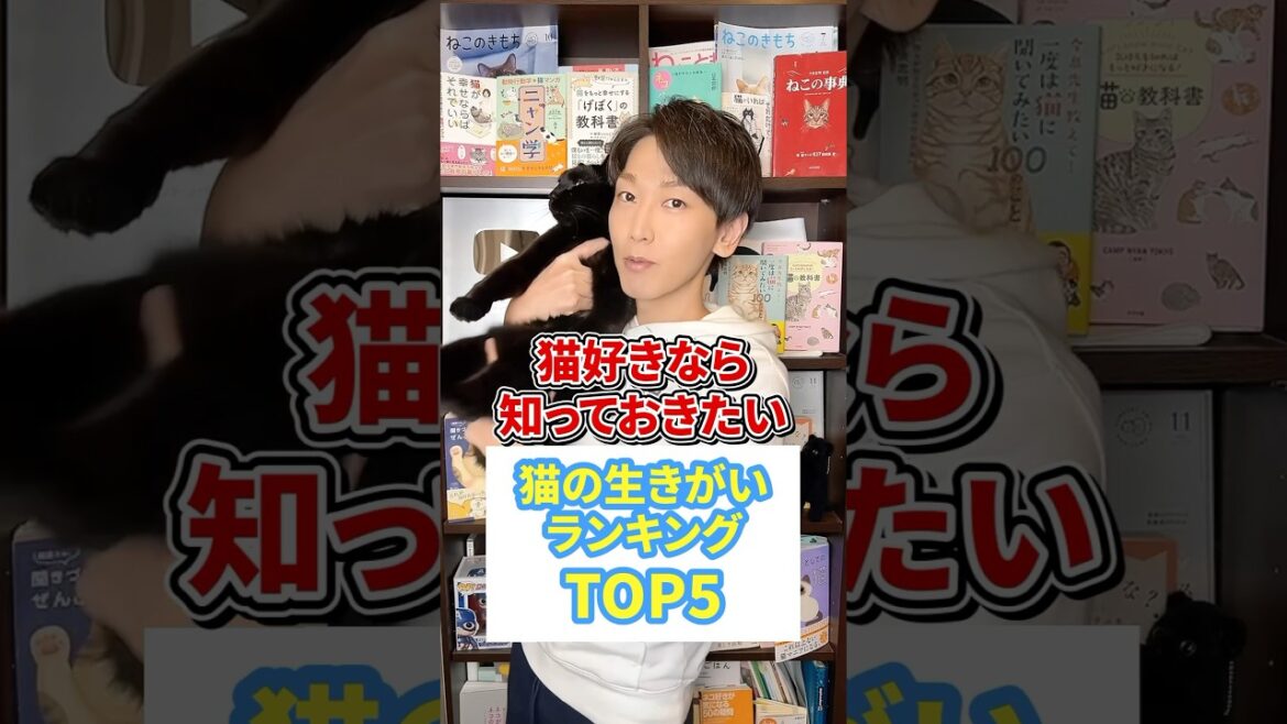 猫好きなら知っておきたい猫の生きがいランキング5 #猫 #猫になりたい #猫のいる暮らし