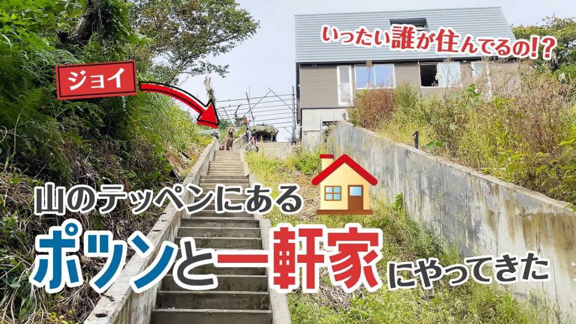 【ポツンと一軒家】山のテッペンにあるポツンと一軒家にいってみた！こんなとこ一体誰が住んでるの！？