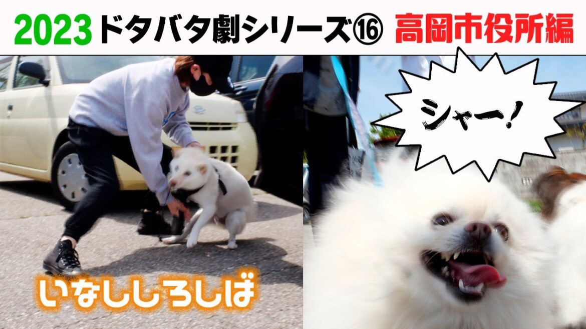 2023狂犬病予防注射会場のドタバタ劇⑯ 高岡市役所編 2023狂犬病予防注射会場のドタバタ劇⑯ 高岡市役所編