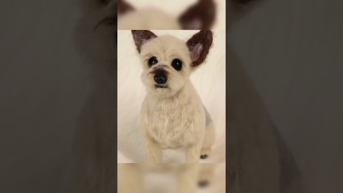 【飼い主様と愛犬の気持ちを預かった思いで愛犬そっくりドールを作成しています】#羊毛フェルト #ヨーキー#オーダー受付中 #ヨークシャーテリア
