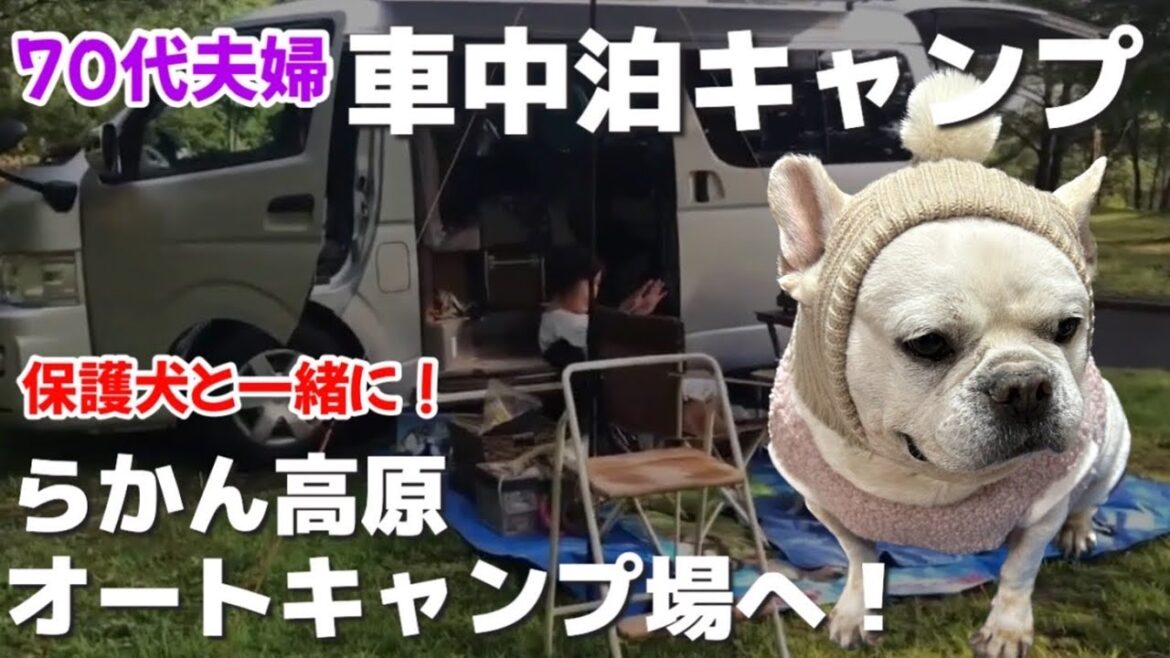 【車中泊 キャンプ】70代夫婦が保護犬フレンチブルドッグを連れてキャンピングカーでキャンプに行きました ＃らかん高原オートキャンプ場 ＃山口県 ＃ハイエース