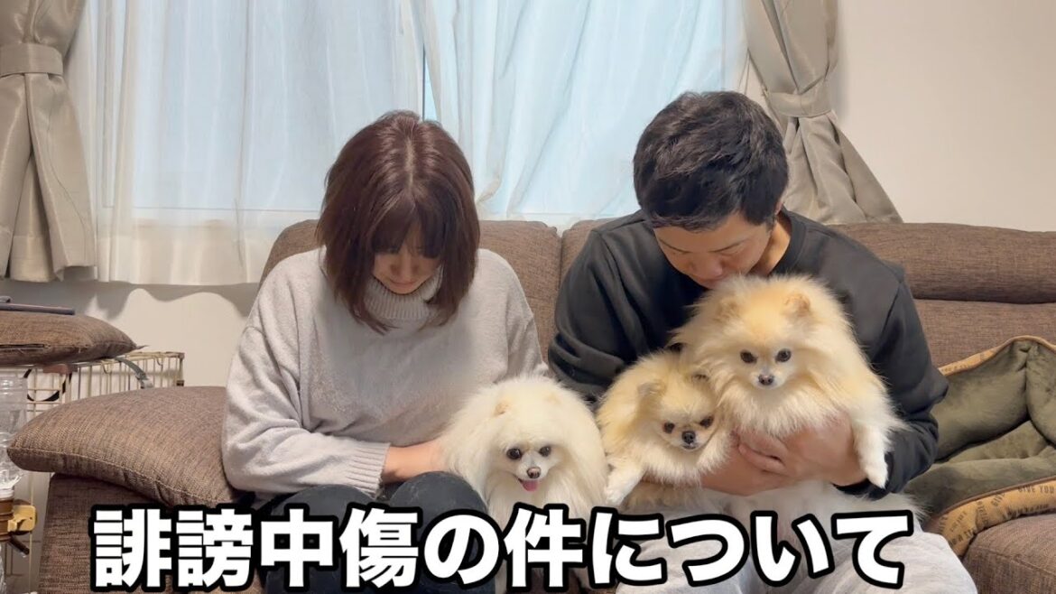 ３姉妹ポメラニアンの誹謗中傷の件についてお話があります