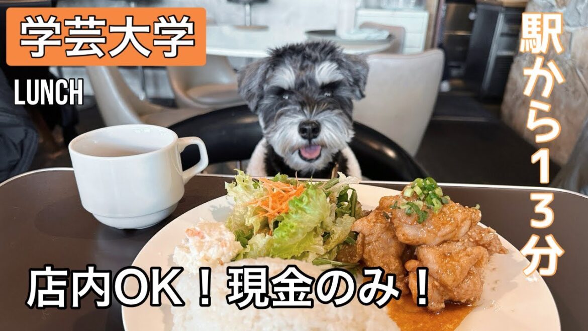 【学芸大学】あったか店内でアットホームランチ食べたょ🐶🍙