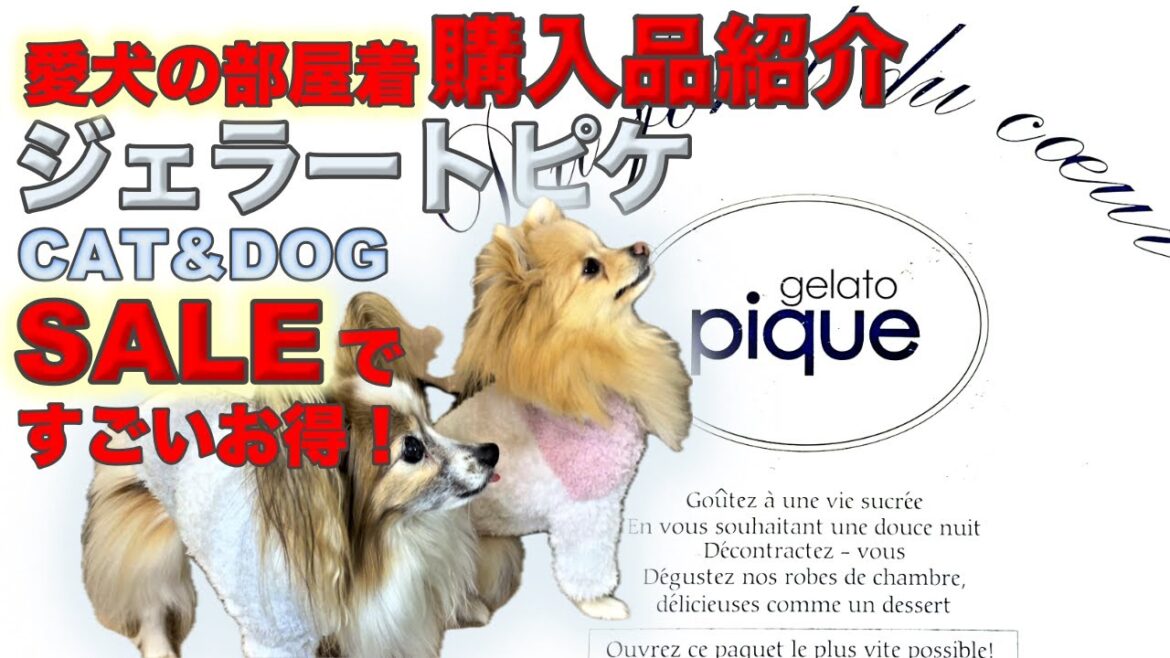【ジェラピケ購入品紹介】愛犬用の部屋着をお得に可愛くコーデ‼️＃geleto pique#ジェラートピケ＃セール