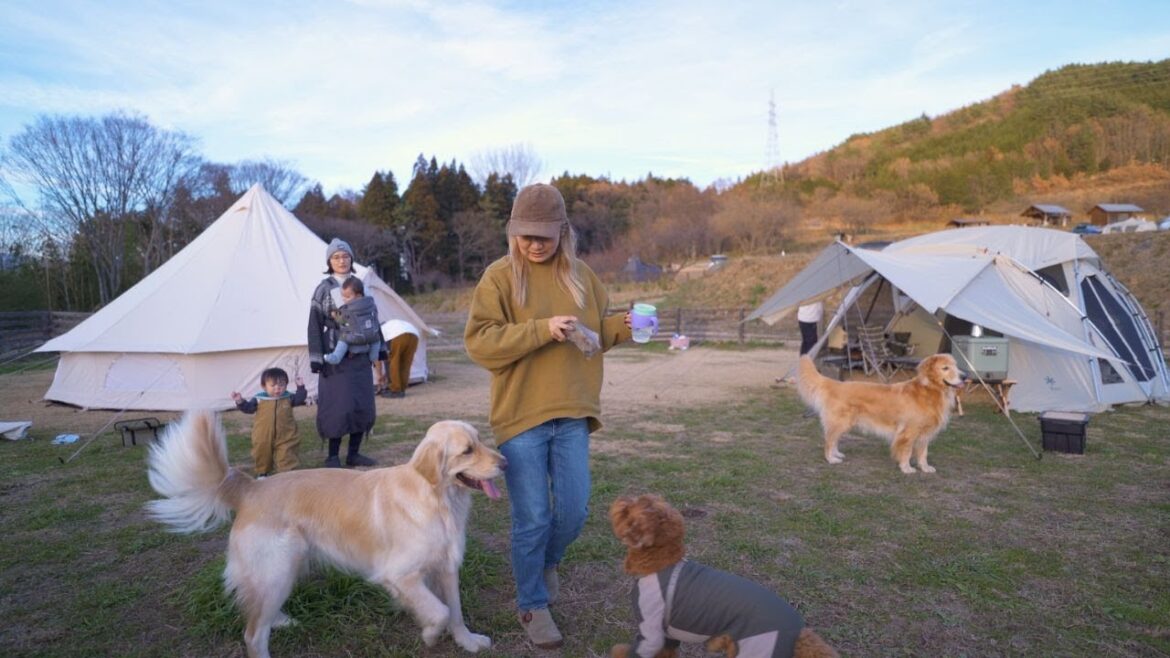 【冬キャンプ】子供2人＆犬3頭連れでグルキャン