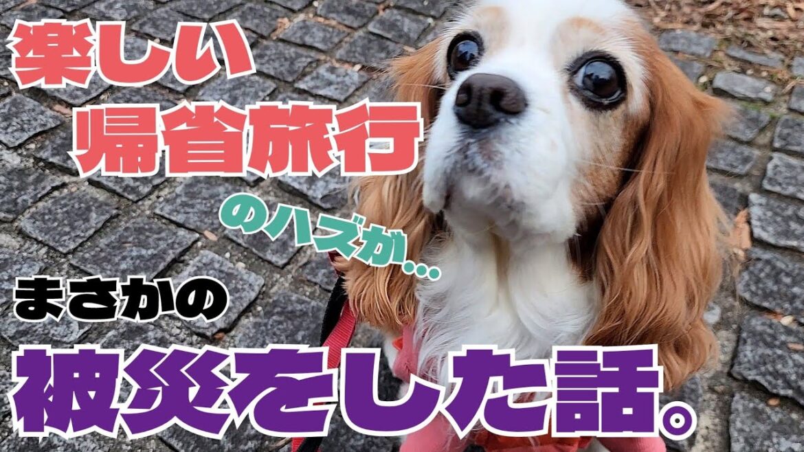 楽しい帰省旅行！が一転…被災、避難行動へ！！