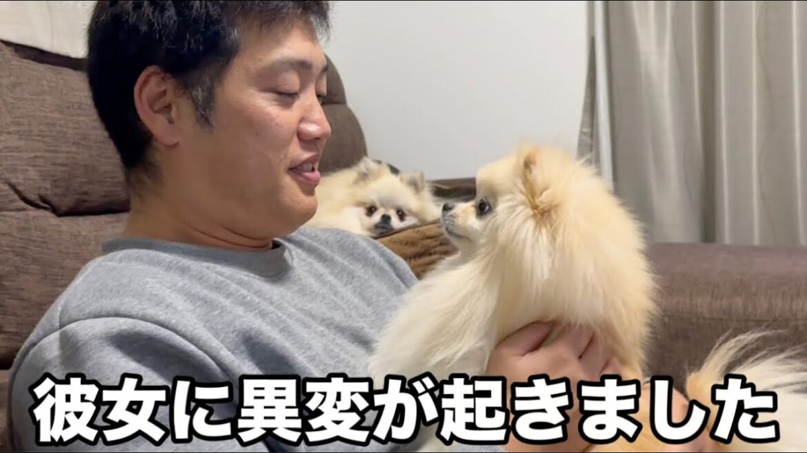 寂しい気持ちになってしまいました