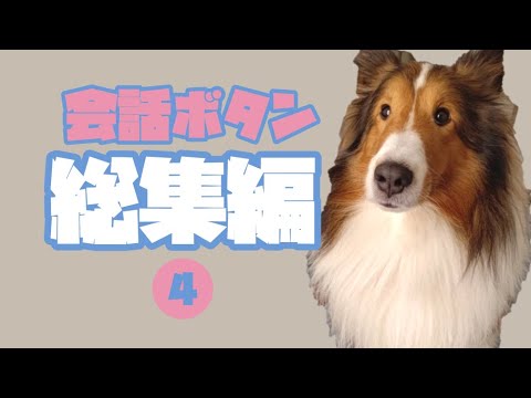 会話ボタン総集編4 会話ボタン総集編4