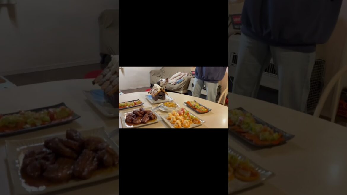 ダルキャン家のクリスマスディナー #dog #ダルメシアン