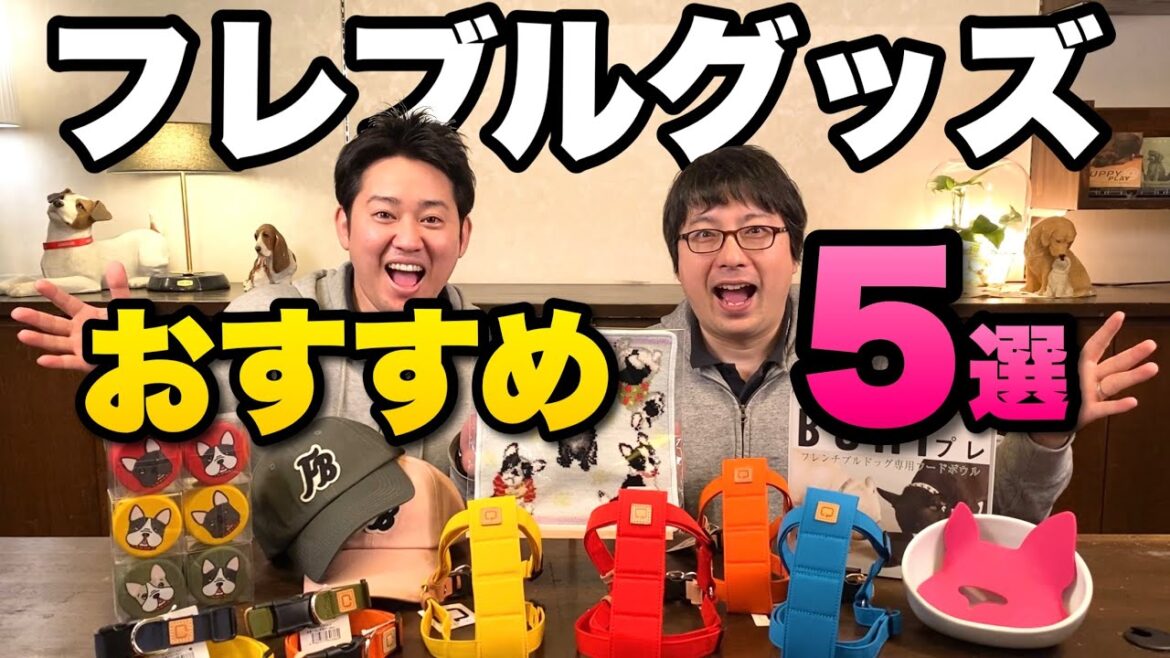 【フレブルグッズおすすめ5選!】フレンチブルドッグ大好きな方に、ペットショップ店員おすすめの商品をご紹介! 【フレブルグッズおすすめ5選!】フレンチブルドッグ大好きな方に、ペットショップ店員おすすめの商品をご紹介!