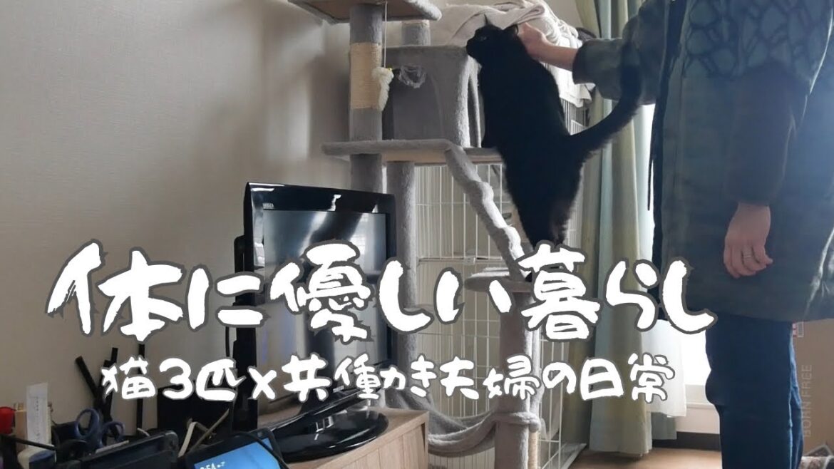 【猫3匹×共働き夫婦の日常】猫と人に優しい暮らし‖ブラッシング大好き猫‖犬猫と一緒に暮らす人のためのハンドクリーム‖冬のおすすめ鍋‖ストーブ事件 【猫3匹×共働き夫婦の日常】猫と人に優しい暮らし‖ブラッシング大好き猫‖犬猫と一緒に暮らす人のためのハンドクリーム‖冬のおすすめ鍋‖ストーブ事件