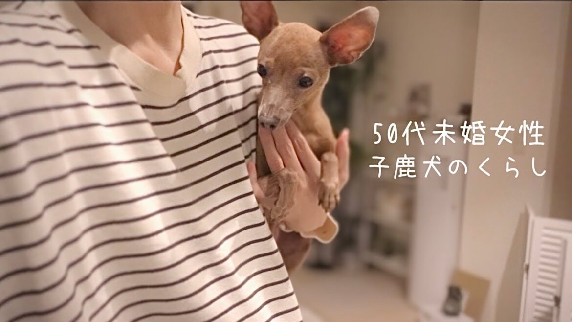 【50代、未婚、子無し】イヤイヤ期の息子を抱いてご飯を作ったら雨の日が楽しくなった【ミニピン】
