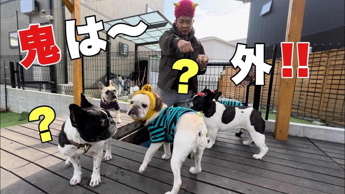 鬼は～外！フレンチブルドック♂6頭と一緒に豆まき⁈