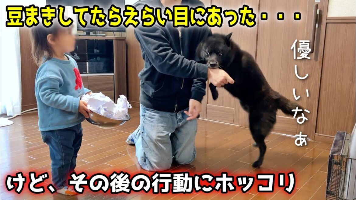 甲斐犬と豆まきしてたらえらい目にあったけど、ホッコリしました 甲斐犬と豆まきしてたらえらい目にあったけど、ホッコリしました