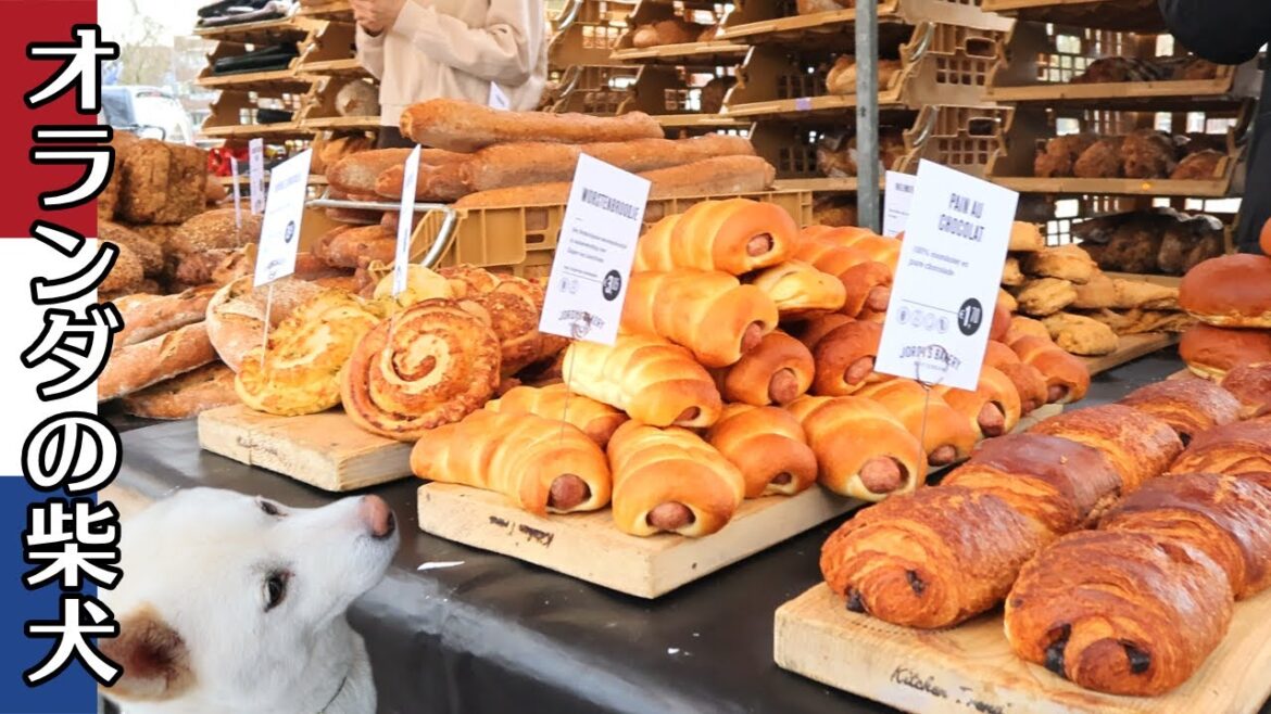柴犬柿丸 市場でパンを買う【オランダ / 環境音 / 4K】Kaki-Maru the Shiba Inu 柴犬柿丸 市場でパンを買う【オランダ / 環境音 / 4K】Kaki-Maru the Shiba Inu