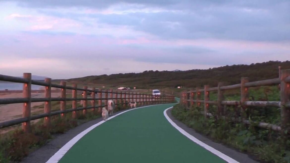 ケアンテリア　増田俊郎　SUNSET HILLS