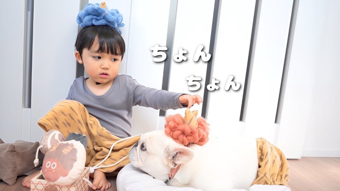 赤鬼になった愛犬にビビりながら触る3歳児【元保護犬フレンチブルドッグ】