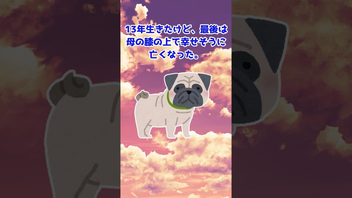 【2ch動物スレ】お人好しなパグ
