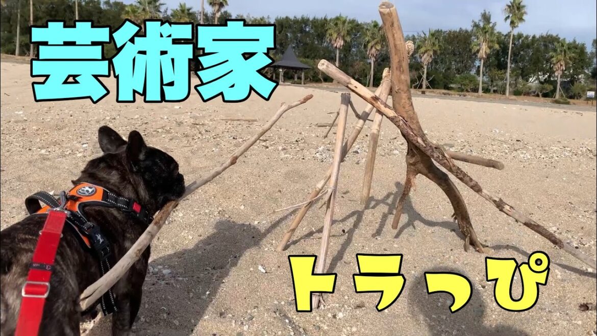 【二本立て】拾った木でオブジェを作る芸術肌の犬＆可愛すぎるドライ納豆ｗ