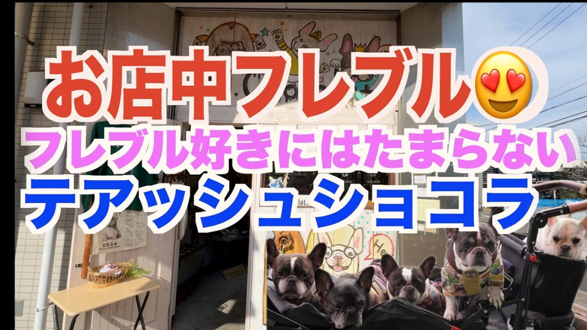 フレブル好きにはたまらない フレブルの雑貨屋さん 【 フレンチブルドッグ french_bulldog 】 テアッシュショコラ フレブル好きにはたまらない フレブルの雑貨屋さん 【 フレンチブルドッグ french_bulldog 】 テアッシュショコラ