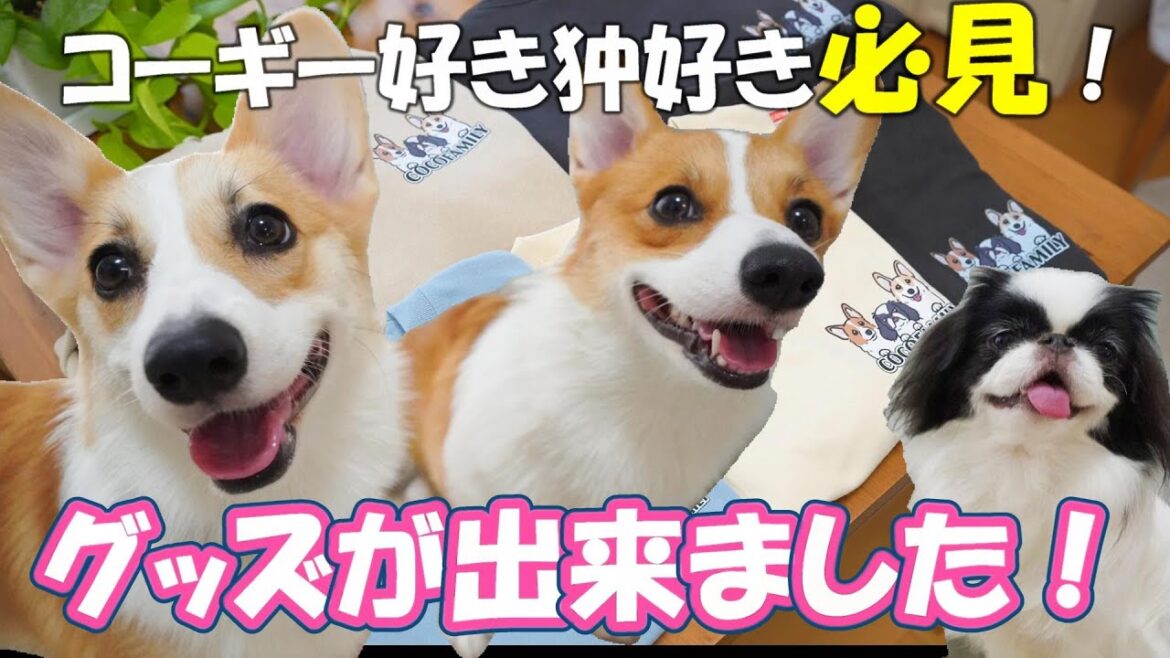 祝⭐︎初めてのグッズが出来ました!コーギー好き&狆好きさん必見です 祝⭐︎初めてのグッズが出来ました!コーギー好き&狆好きさん必見です