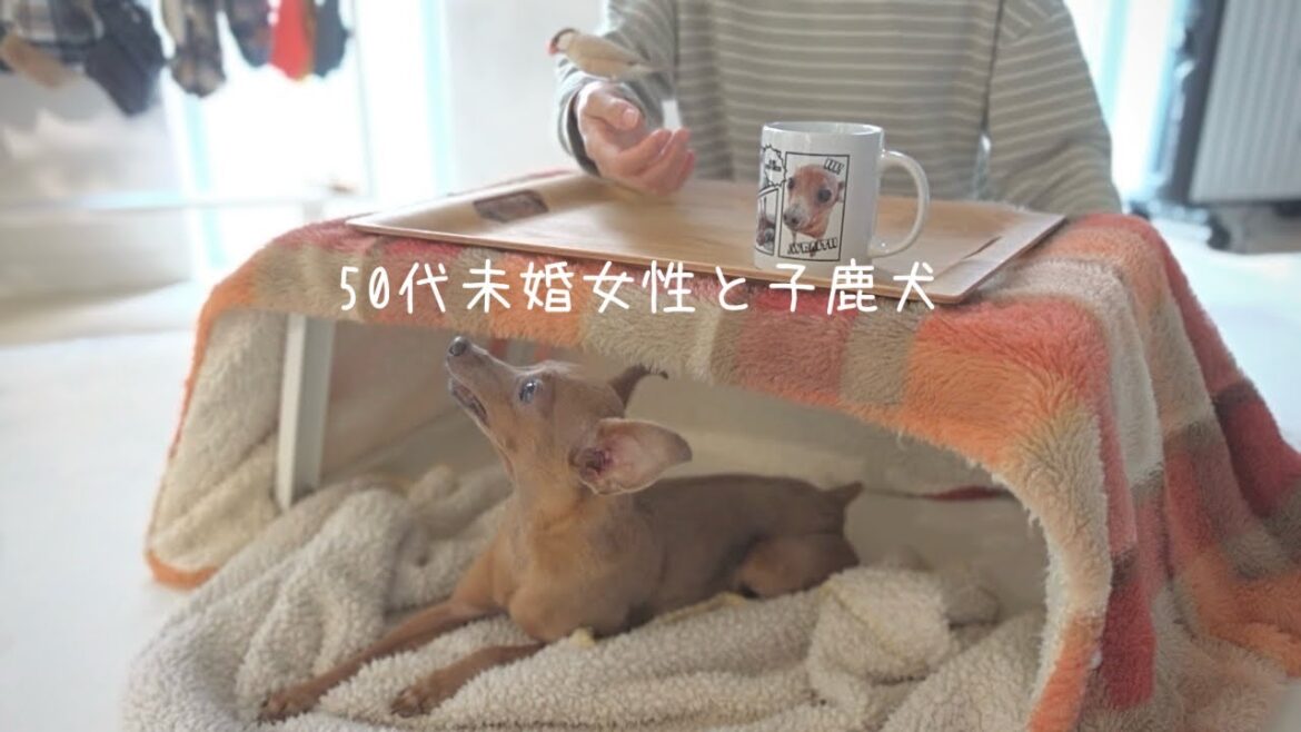 【50代、未婚、子無し】生まれて初めてコタツにはいった息子の愛おしいすぎる休日【ミニピン】