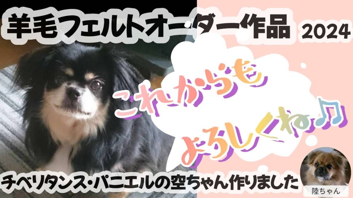 【これからもよろしくね♫】羊毛フェルトオーダー作品　チベタン・スパニエルの空ちゃん#羊毛フェルト #dog #チベタンスパニエル