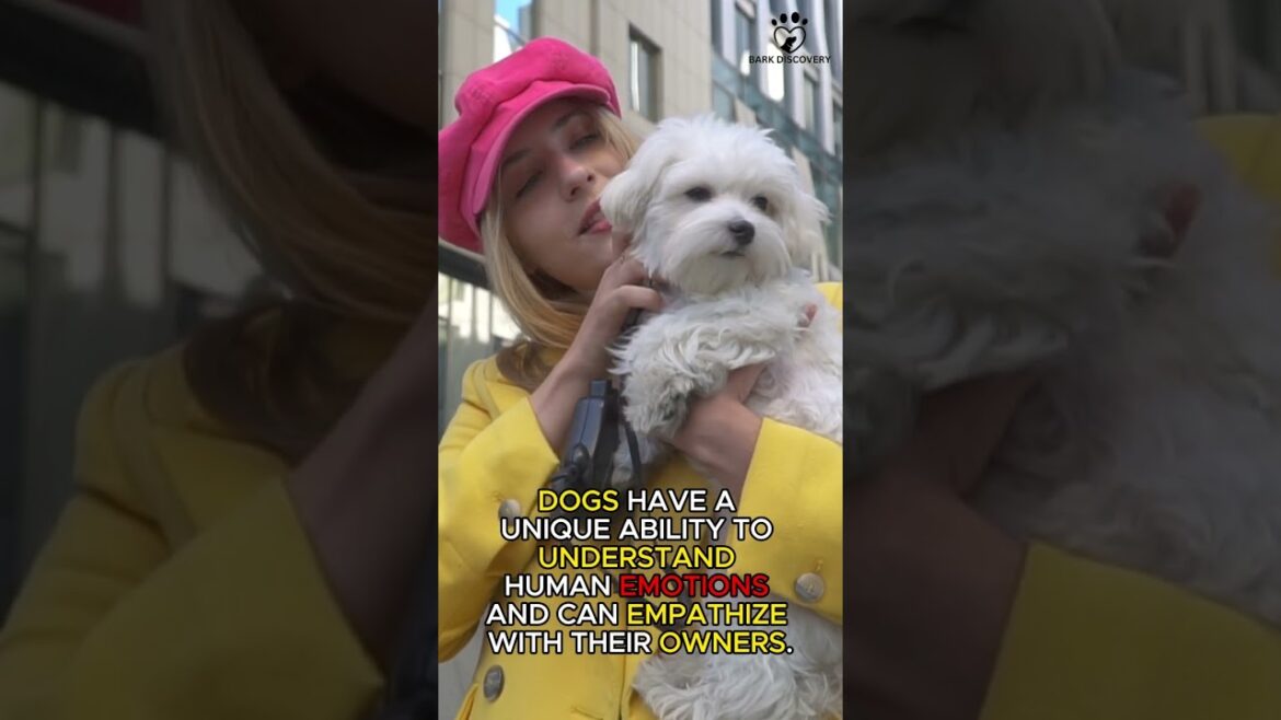 Facts About DOGS That Will Surprise You