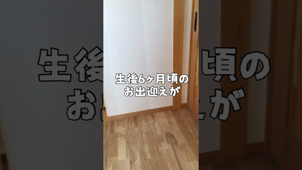 もはや犬ではなさそうな白いあいつ　#japanesespitz #日本スピッツ #shorts