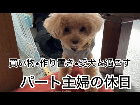 パート主婦 愛犬と過ごす休日は。。。買い物に作り置き!【節約パート主婦とトイプードルの日像】 パート主婦 愛犬と過ごす休日は。。。買い物に作り置き!【節約パート主婦とトイプードルの日像】