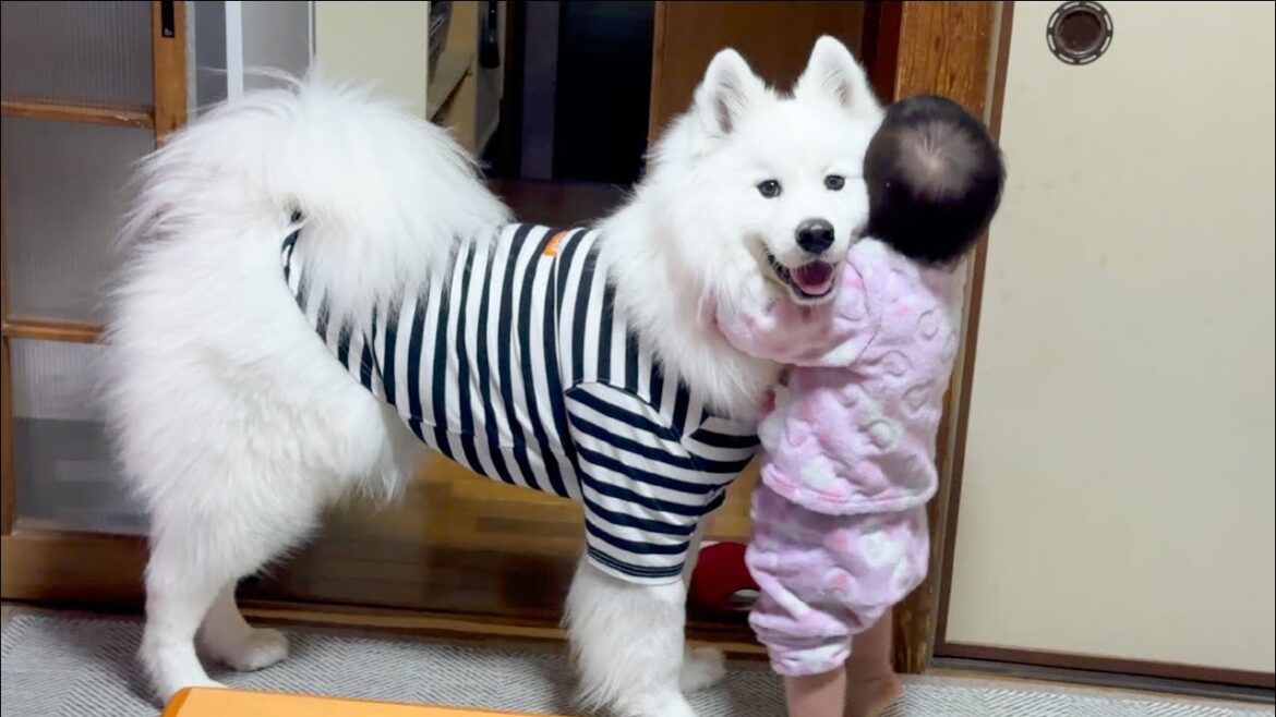 初めて姪っ子からハグされて戸惑いながらもニコニコ笑顔な犬