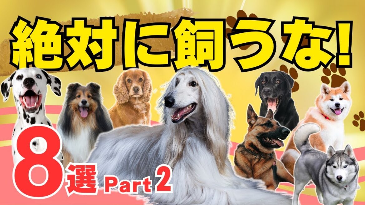 【本当はヤバイ人気犬種 8選 part2】飼いにくくて後悔している理由を解説！
