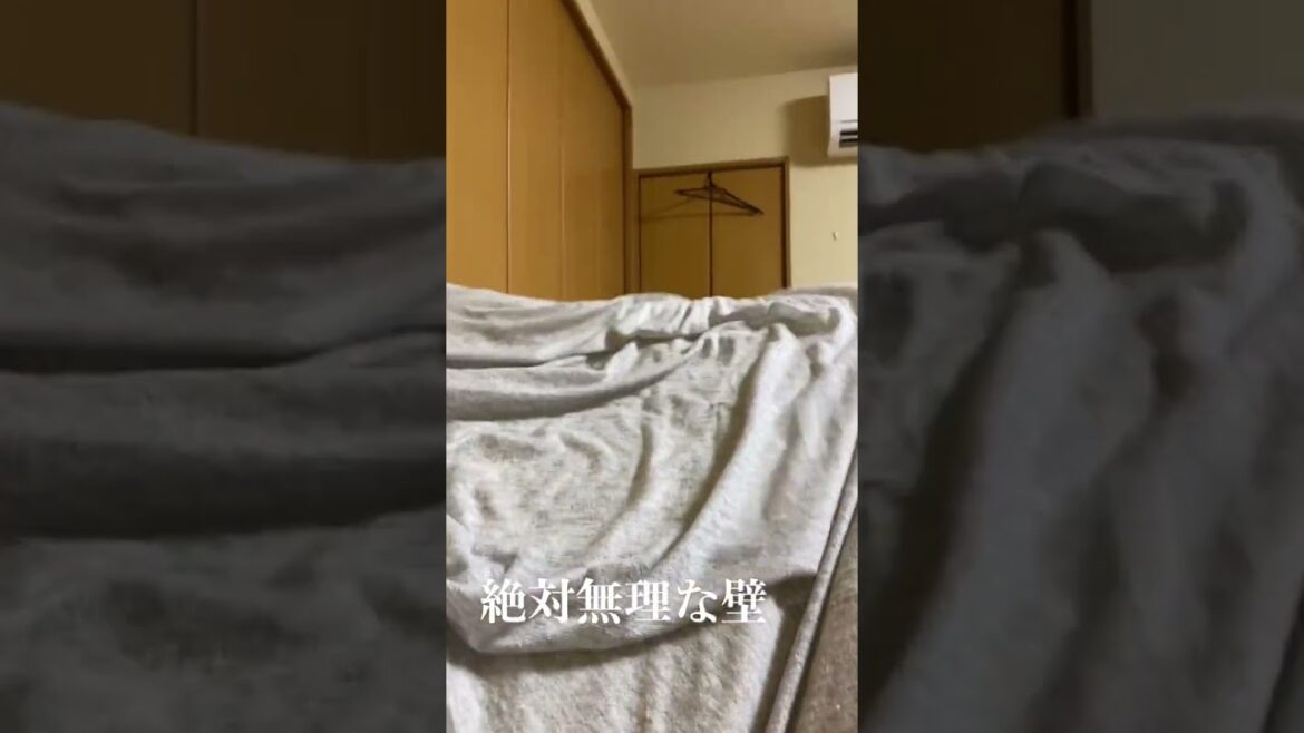 【コーギー】可愛いからイジワルしたくなっちゃうごめんね😂#くきたん #コーギー #shorts