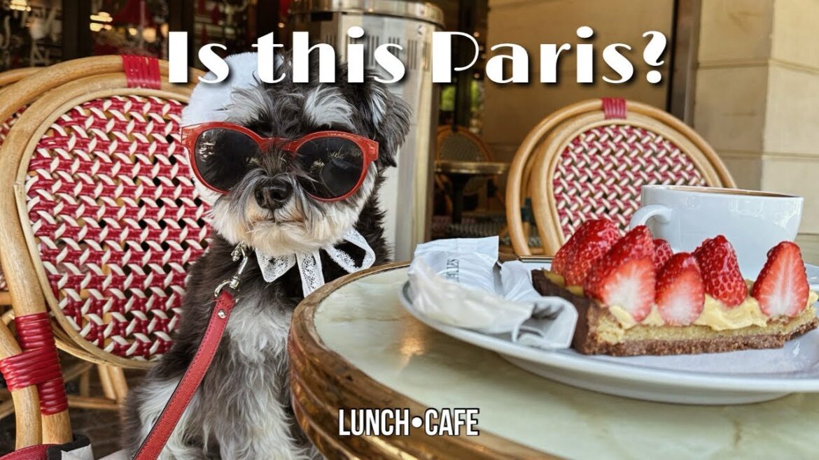 【永田町】大人気カフェでいちごたっぷり🍓スイーツ堪能して可愛すぎた❤︎