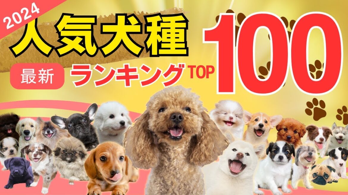 【2024年版】人気犬種❤️ランキングTOP100（参考：JKC年間犬籍登録頭数 2023年犬籍登録頭数）