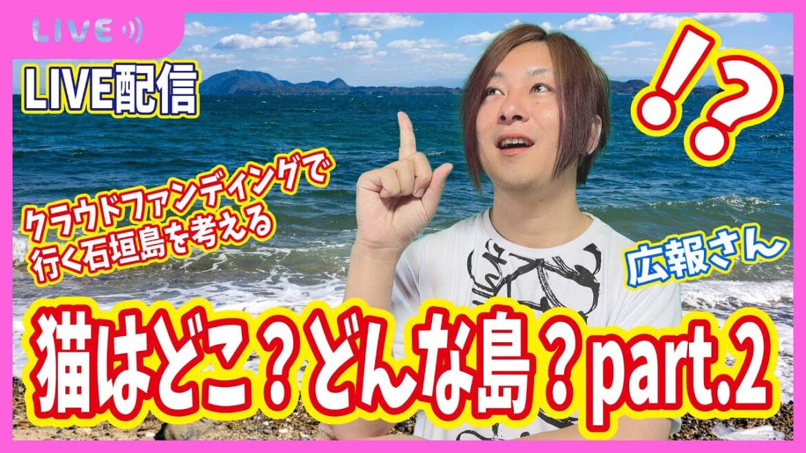 【企画】石垣島とはどんな島？猫はどこ？part2ライブ配信♪2024/02/16