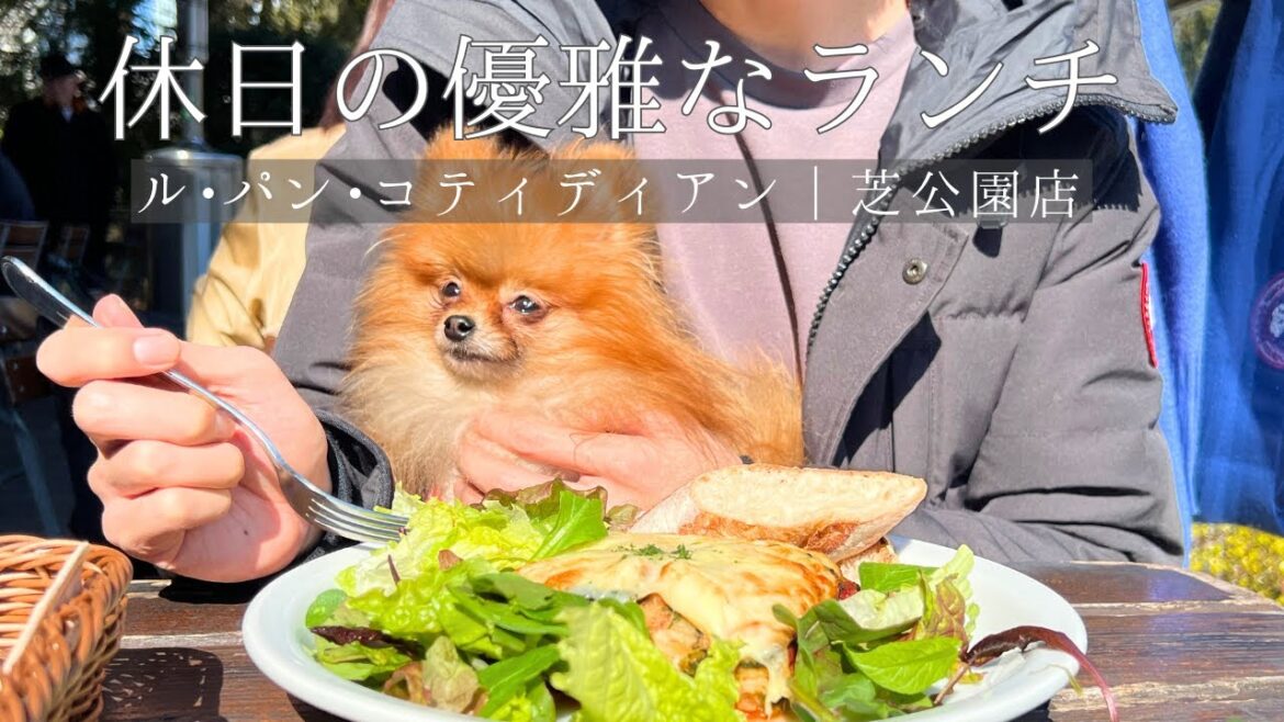 [都内でランチ]ポメラニアン2匹と優雅な時間 #ルパンコティディアン　#芝公園