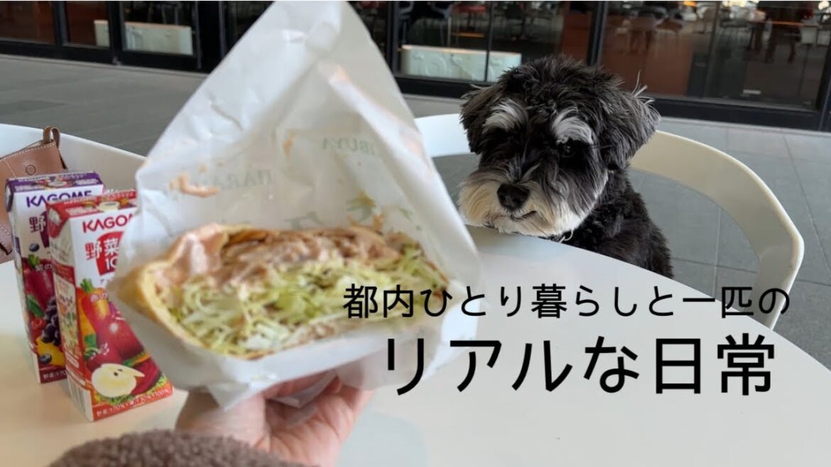 ミニチュアシュナウザーのパートナーとの日常がべったりすぎた🐶🐾
