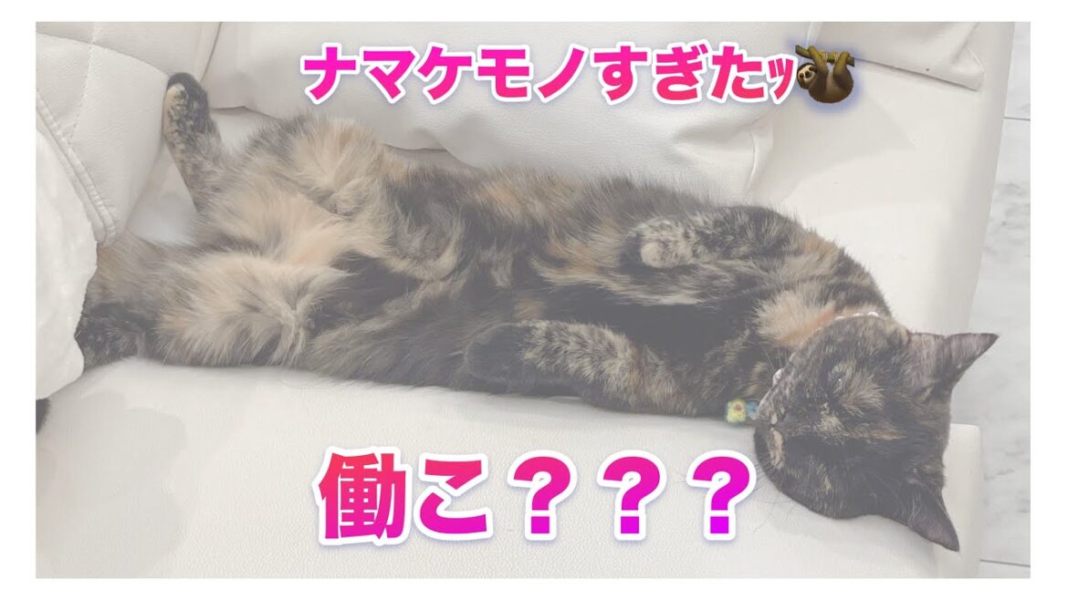 女の子チームはやはり可愛いだった…！！